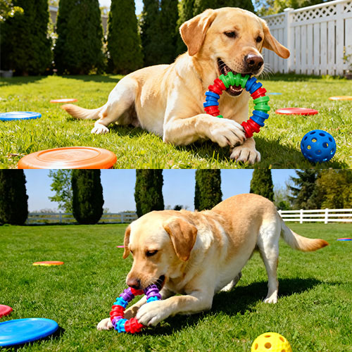 Molde de injeção para brinquedos para animais de estimação