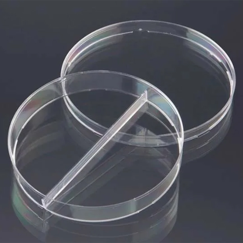 Molde de plástico PMMA