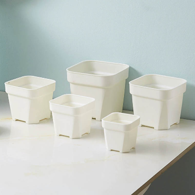 Moldagem em vasos de plantas